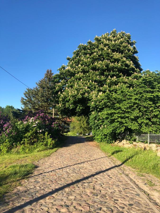 Gutshaus Alt-Jargenow Leilighet Alt Jargenow Eksteriør bilde